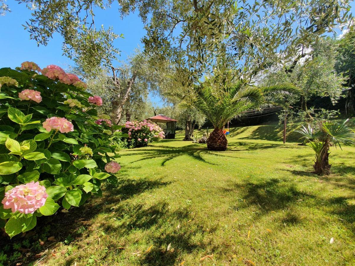 Casa Valenti Apartment Brenzone sul Garda Bagian luar foto