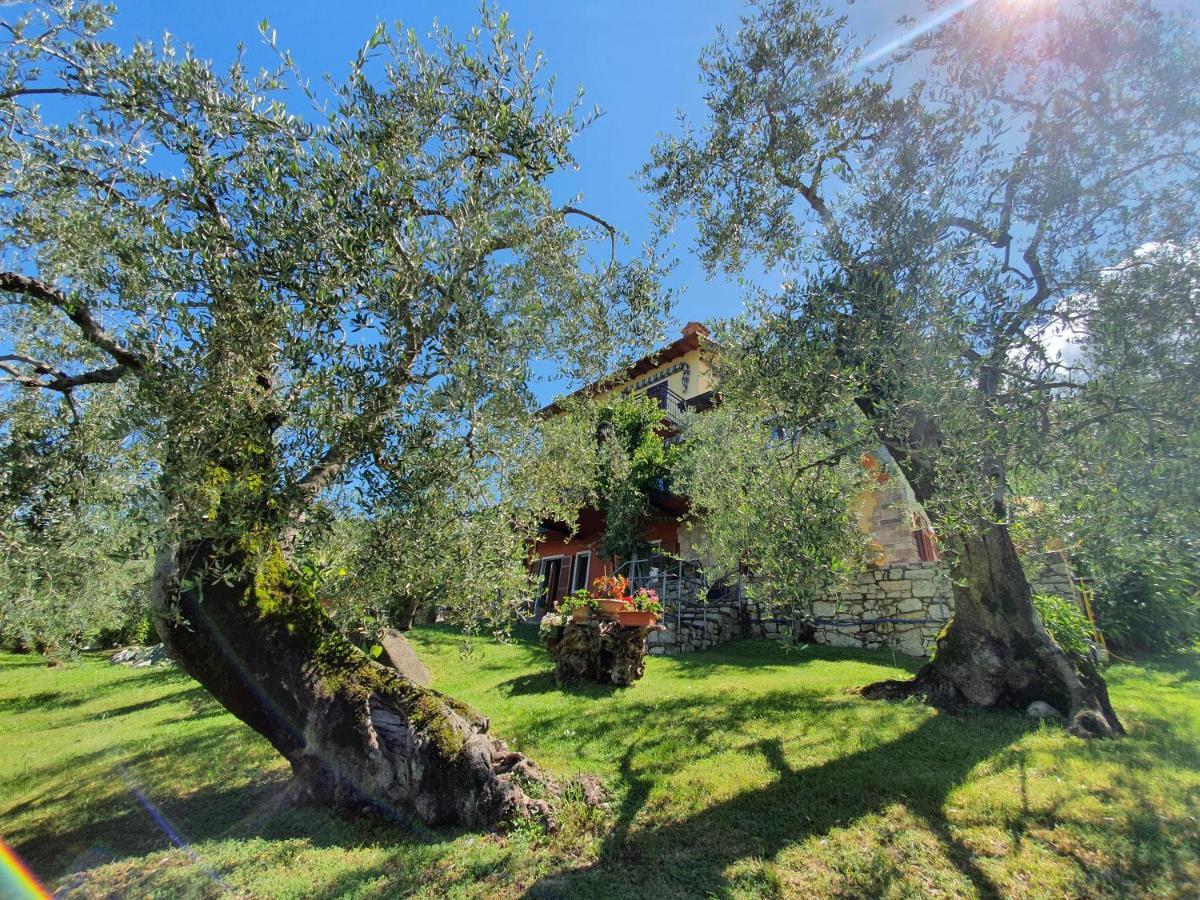 Casa Valenti Apartment Brenzone sul Garda Bagian luar foto