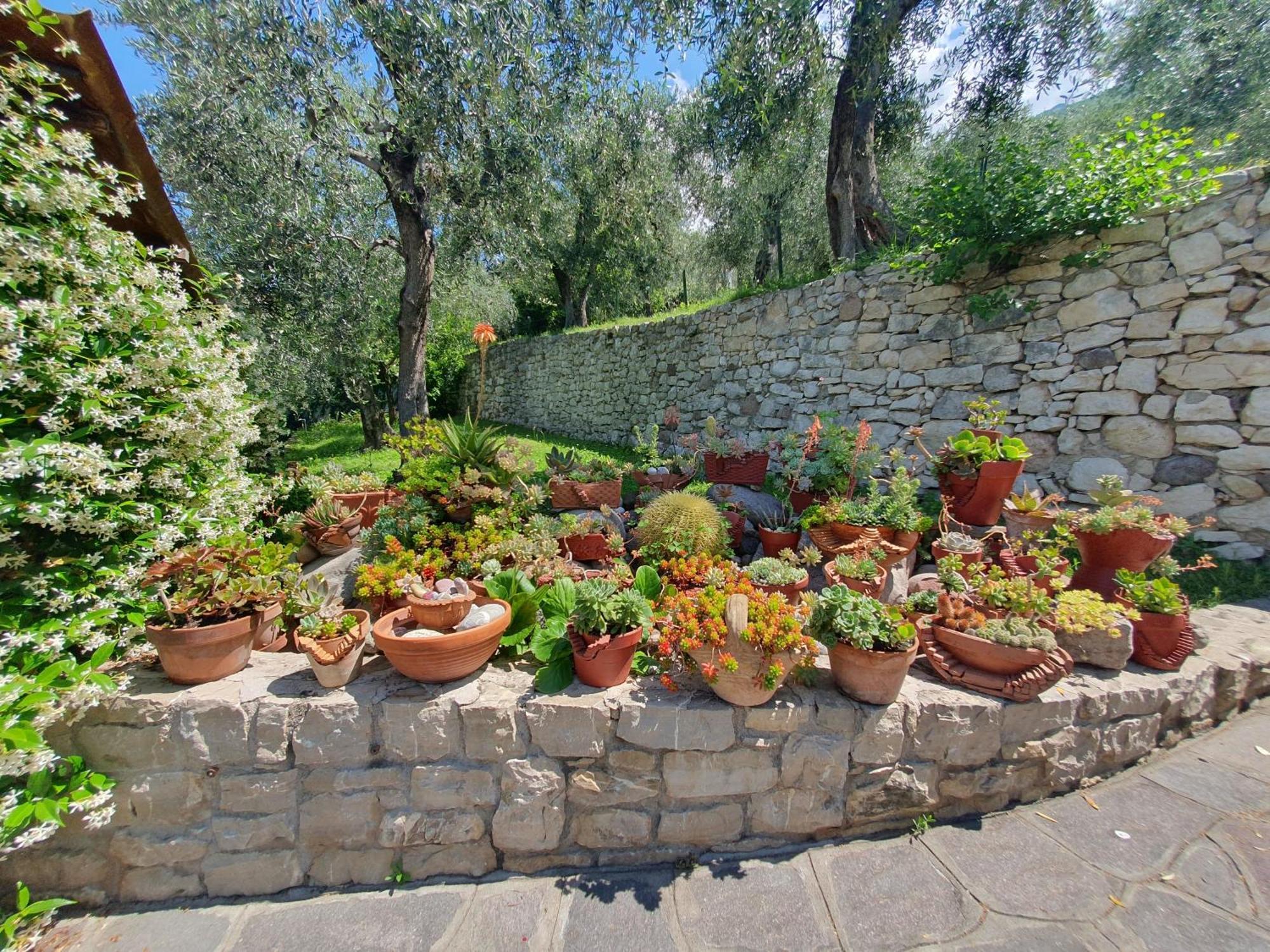 Casa Valenti Apartment Brenzone sul Garda Bagian luar foto