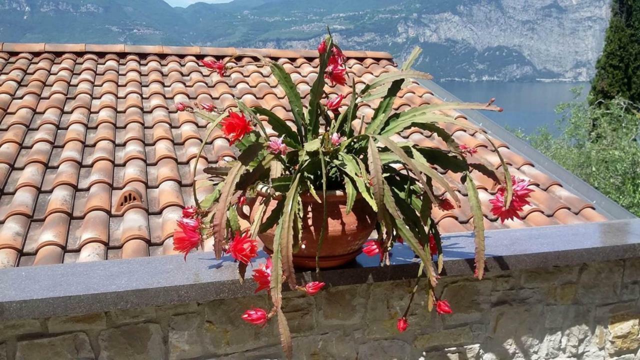 Casa Valenti Apartment Brenzone sul Garda Bagian luar foto